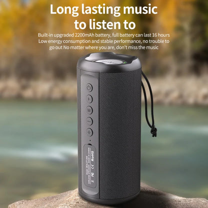 Zealot S46 TWS Portable Wireless Bluetooth Speaker